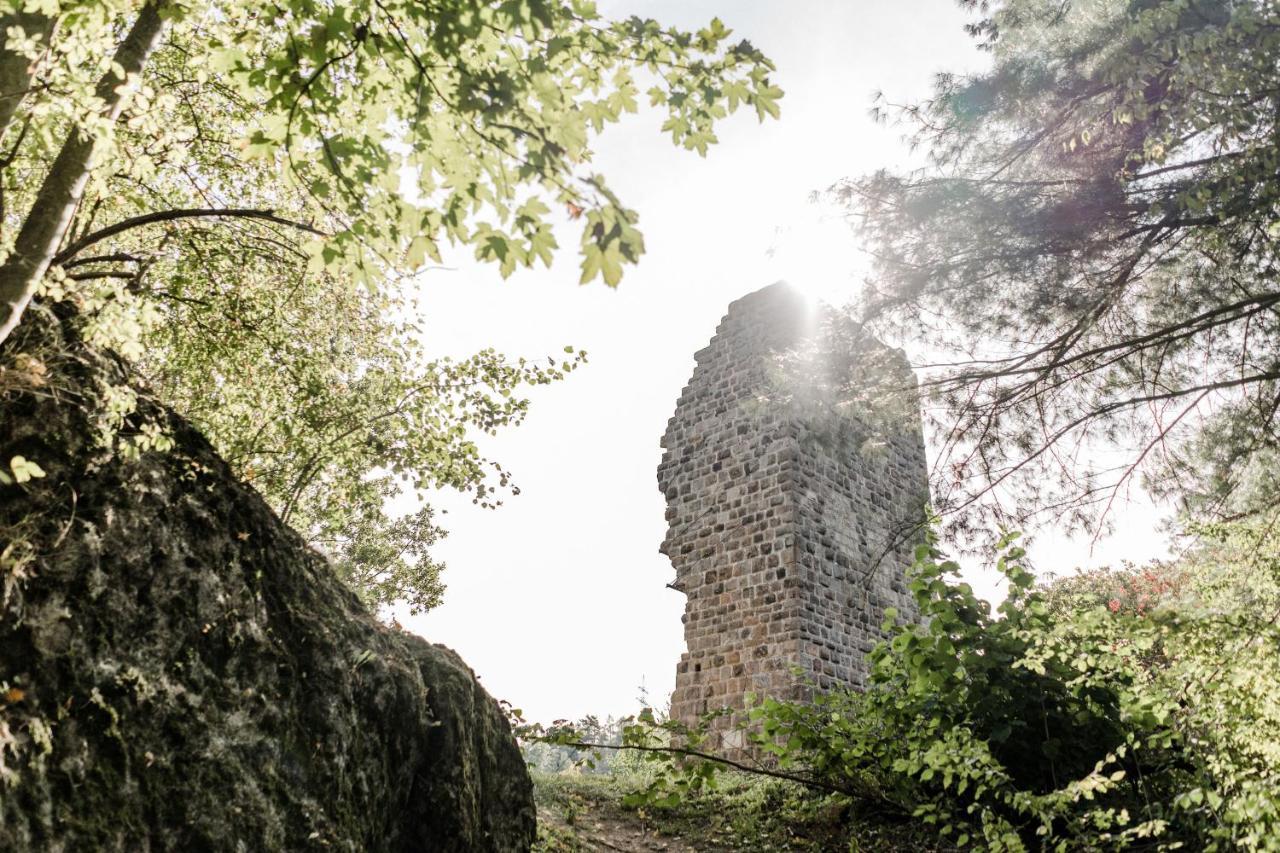 Gasthaus Am Oedenturm Chammünster エクステリア 写真